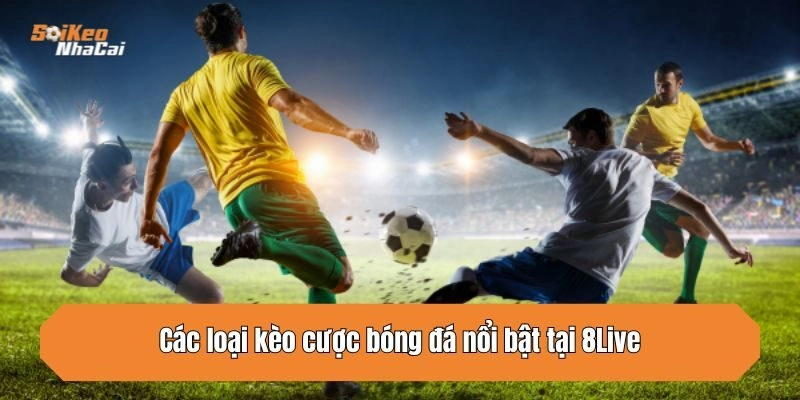 Các loại kèo cược bóng đá nổi bật tại 8Live
