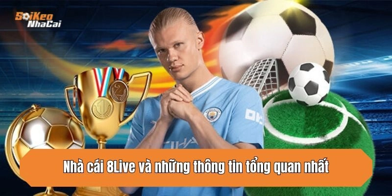Nhà cái 8Live và những thông tin tổng quan nhất