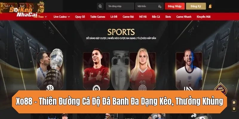 Xo88 – Thiên Đường Cá Độ Đá Banh Đa Dạng Kèo, Thưởng Khủng