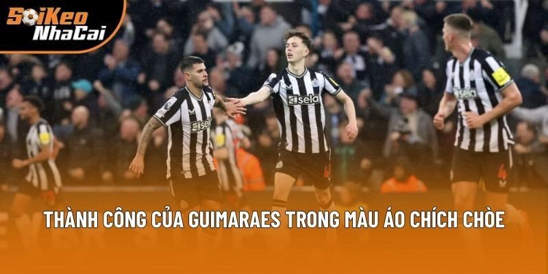 Thành công của Guimaraes trong màu áo Chích Chòe