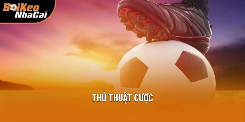 Thủ Thuật Cược Tại Soi Kèo Nhà Cái | Bí Kíp Chơi Thông Minh